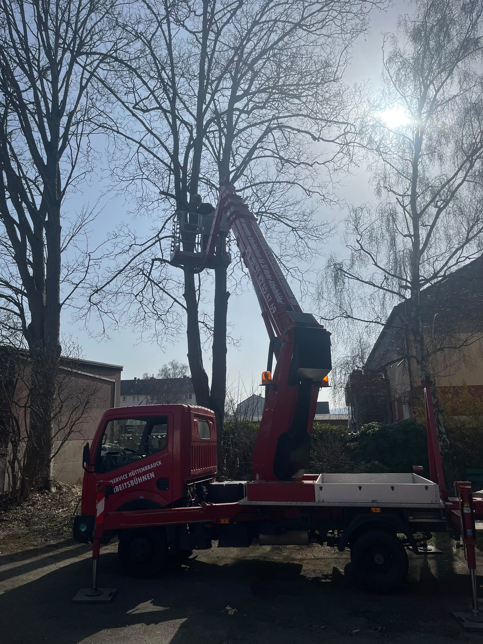 Gehölzpflege mit einer Hubarbeitsbühne